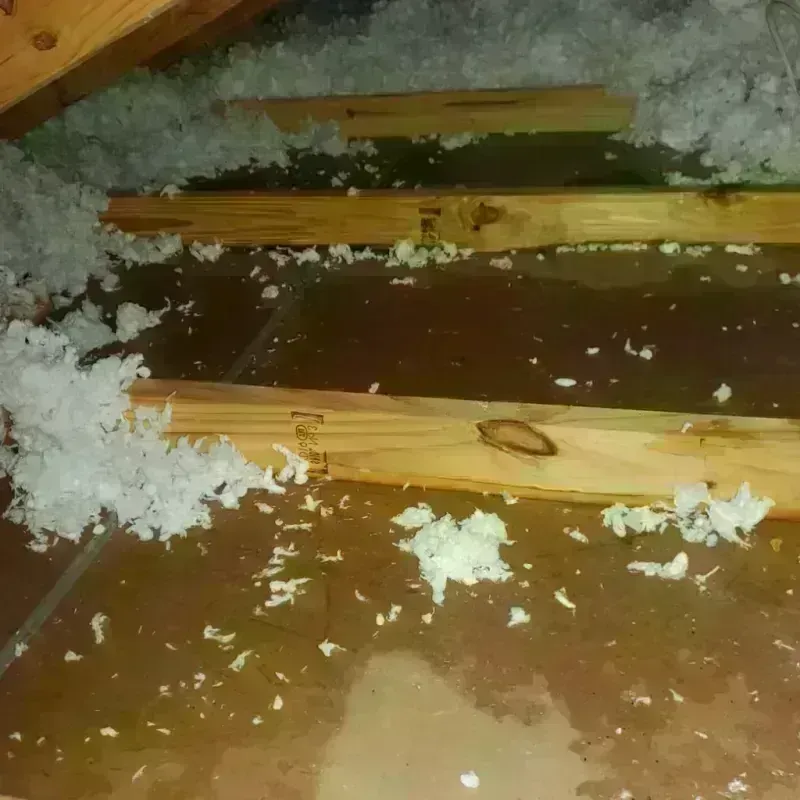 Attic Water Damage in Ballard County, KY